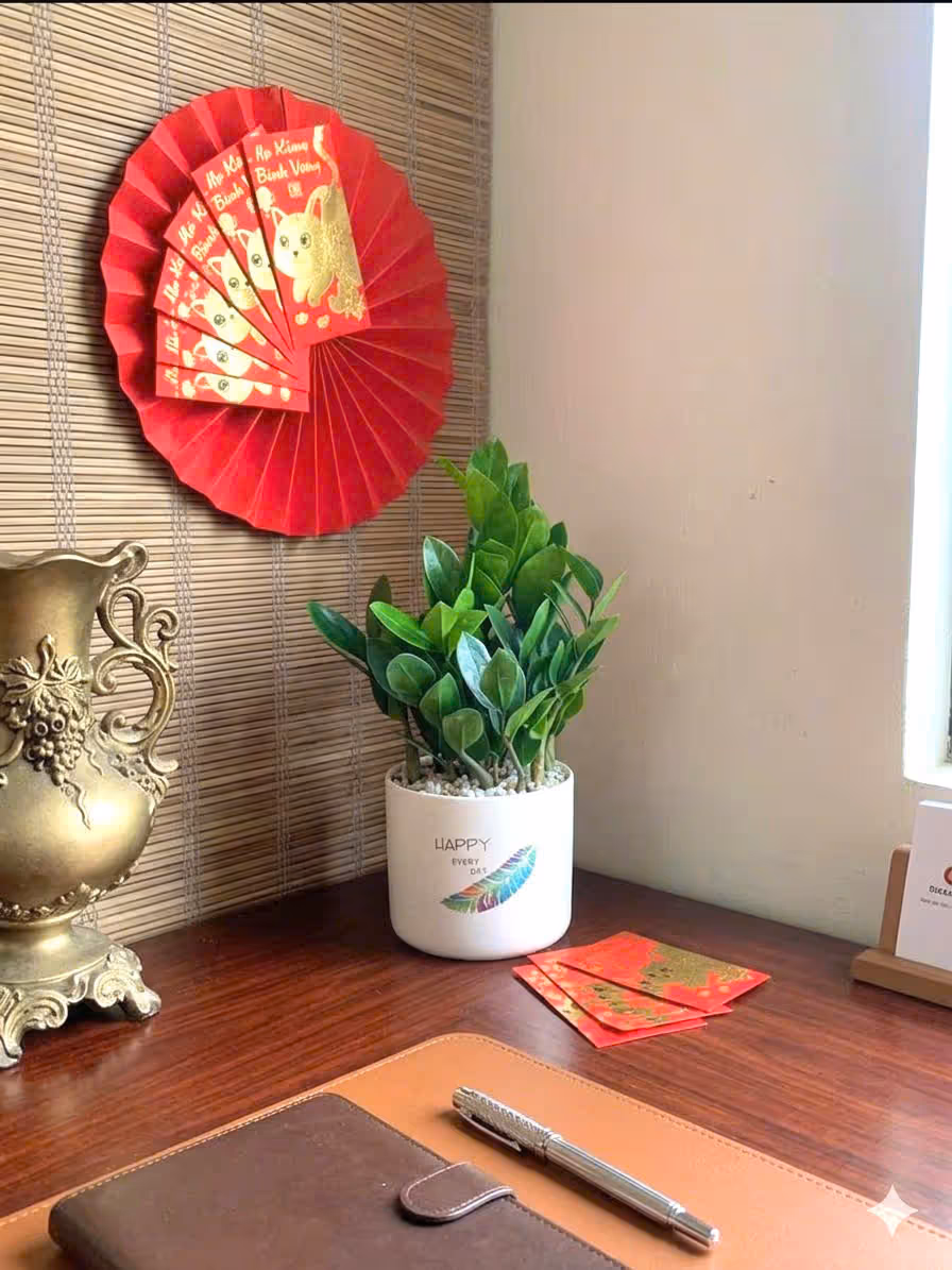 Các Mẫu Cây Kim Tiền Mini Để Bàn Làm Việc