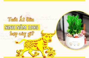 Tuổi Ất Sửu 1985 hợp cây gì? Top cây hợp mệnh Kim 1985