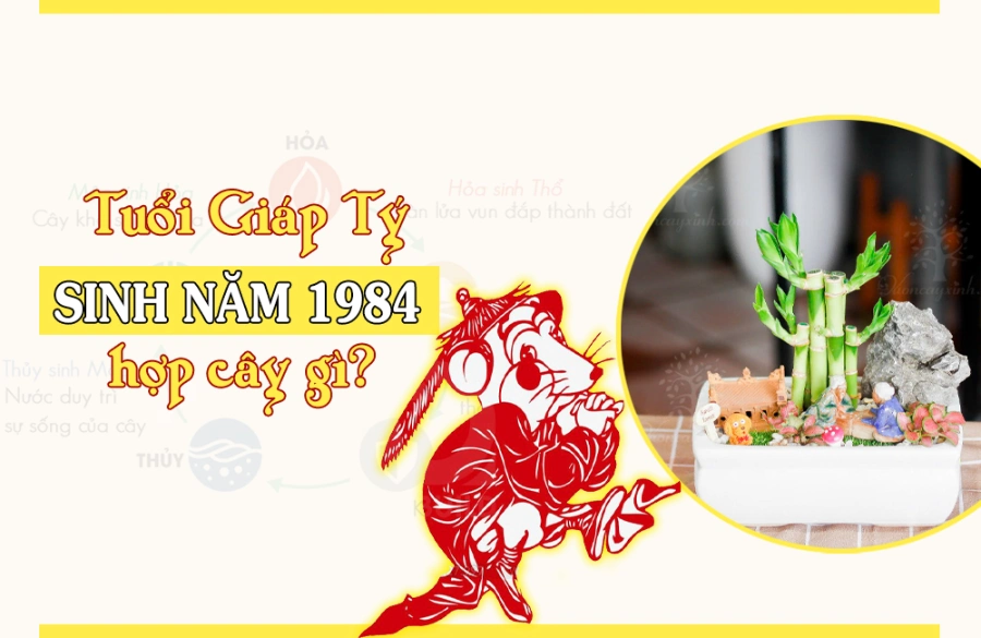 Tuổi 1984 hợp cây gì? Cây hợp mệnh Kim 1984